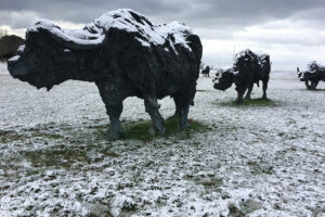 Nevicata del 13 febbraio 2021